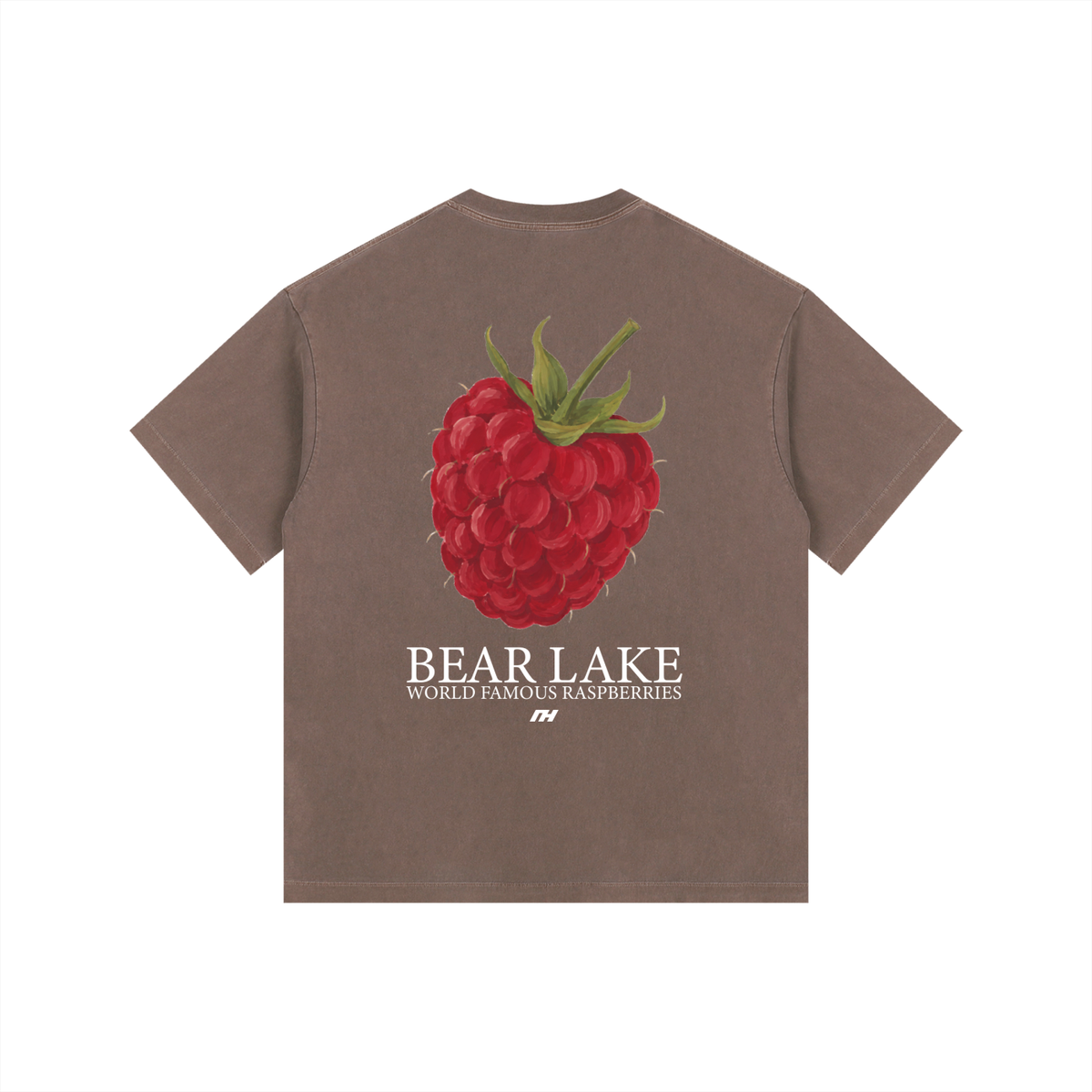 Bear Lake World Famous Raspberries Vintage T-Shirt