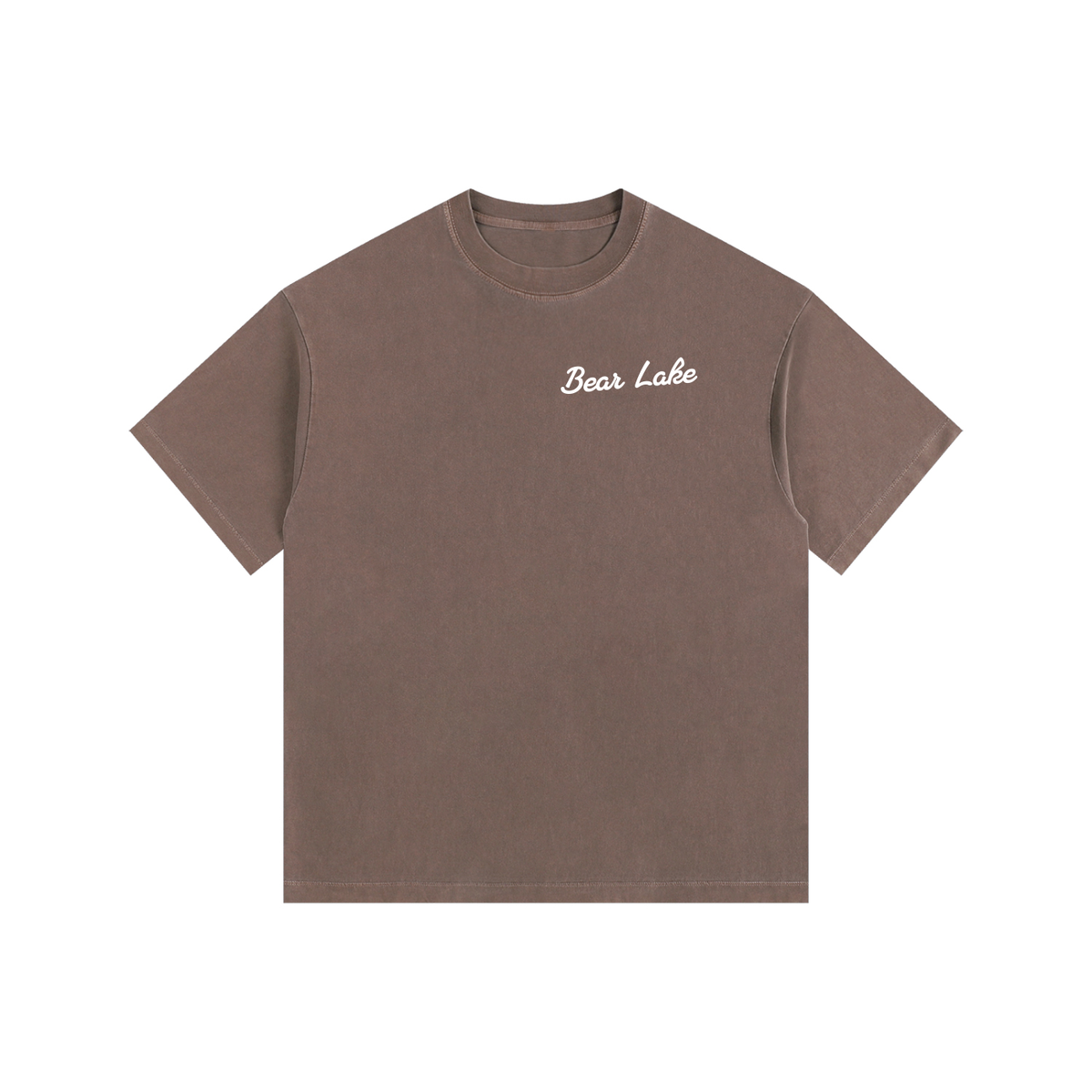 Bear Lake Vintage Oversized T-Shirt