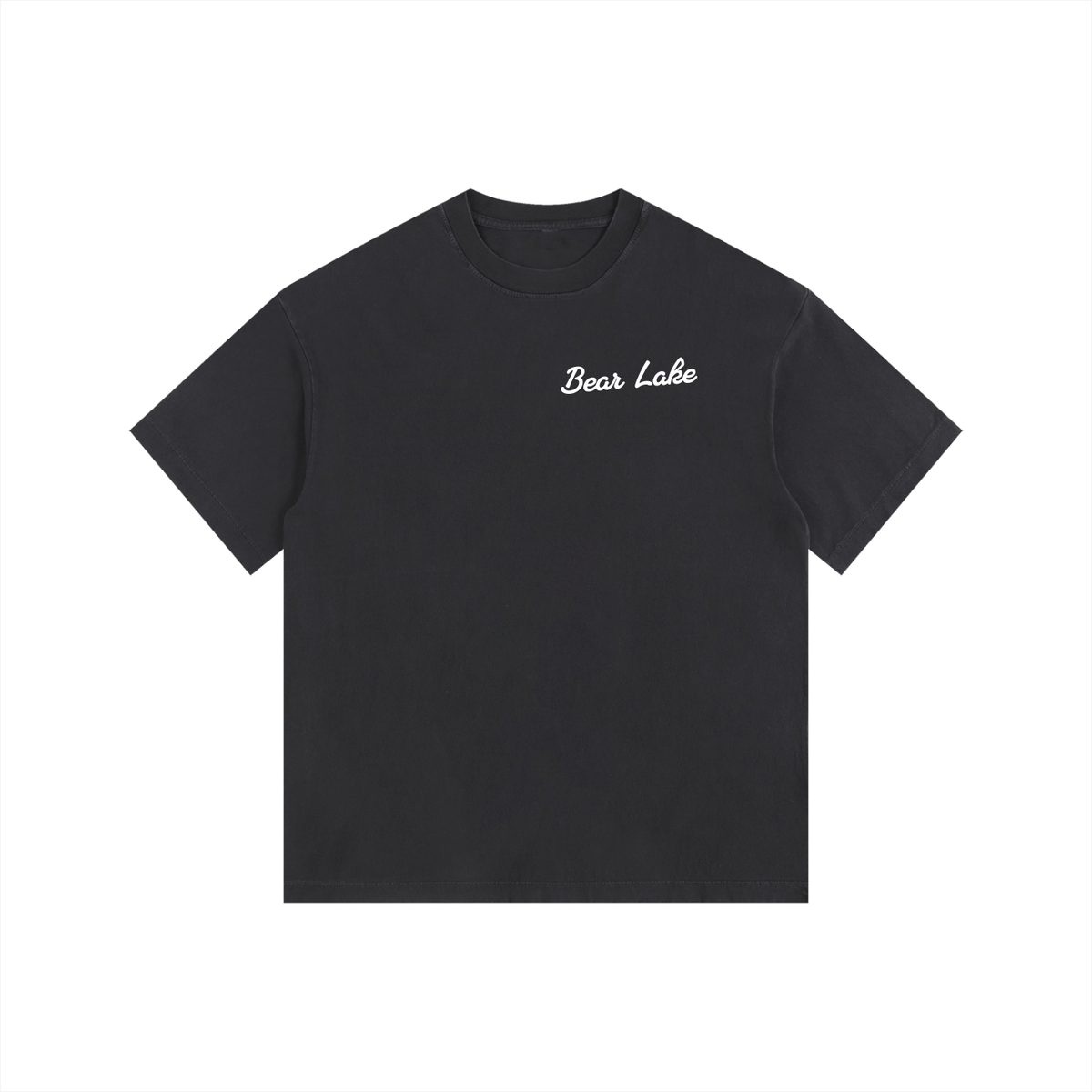 Bear Lake Vintage Oversized T-Shirt