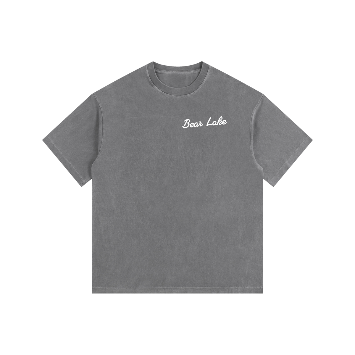Bear Lake Vintage Oversized T-Shirt