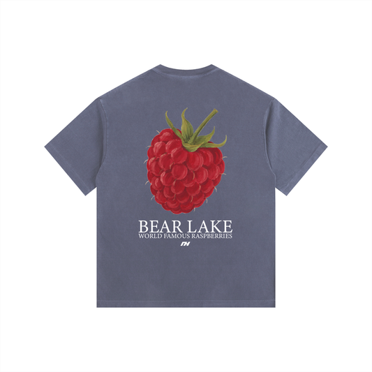 Bear Lake World Famous Raspberries Vintage T-Shirt